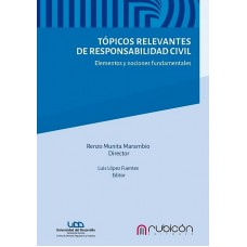 TÓPICOS RELEVANTES DE RESPONSABILIDAD CIVIL - ELEMENTOS Y NOCIONES FUNDAMENTALES